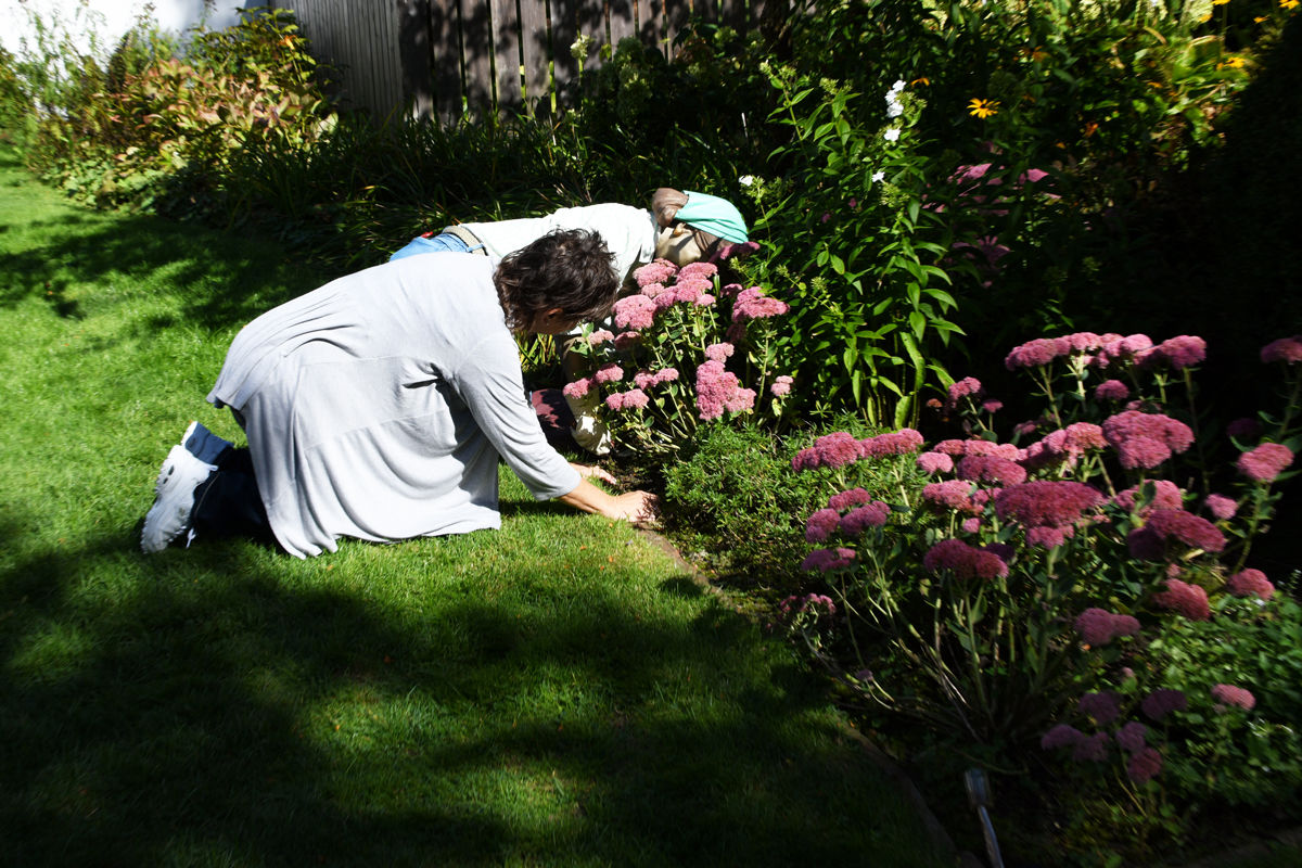 117 Pat Carpenter got on her knees to lend a hand to the gardener at the Hadwen House..jpg